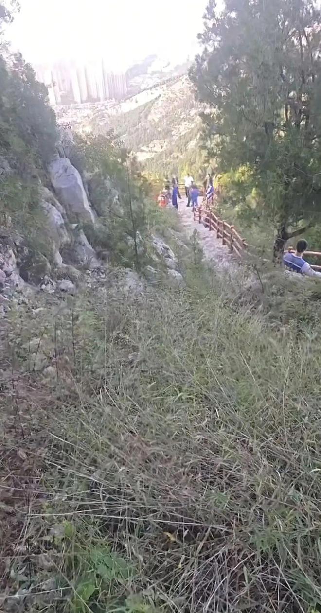 苏某某已确认身亡年仅29岁！遗体在离家2公里处被发现